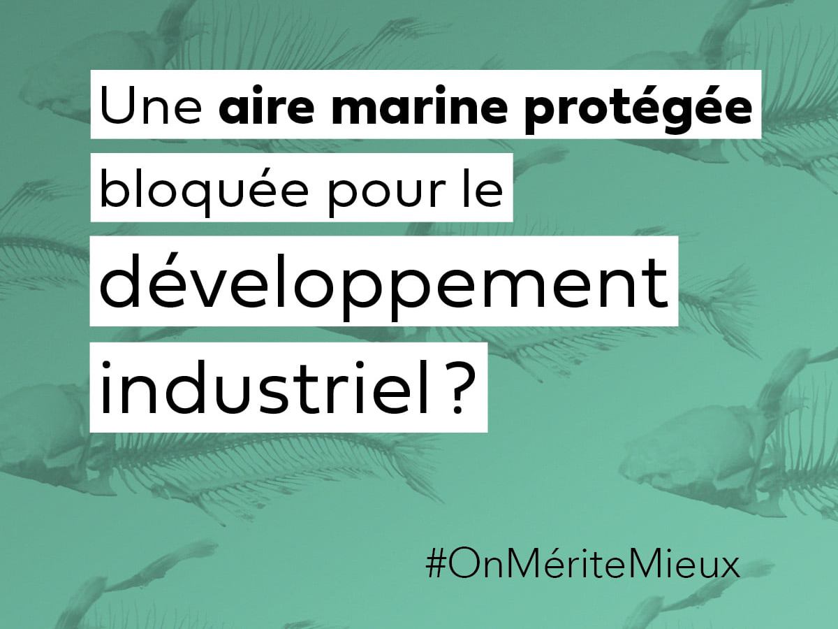 La Chambre de commerce et Port Saguenay vont trop loin&nbsp;!