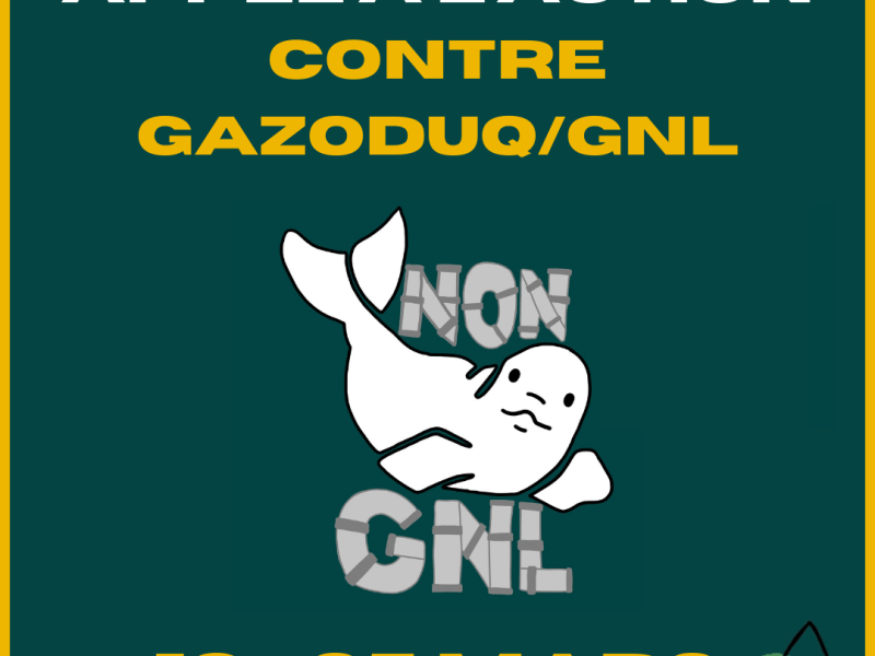 Trousse : semaine d&rsquo;action contre&nbsp;GNL