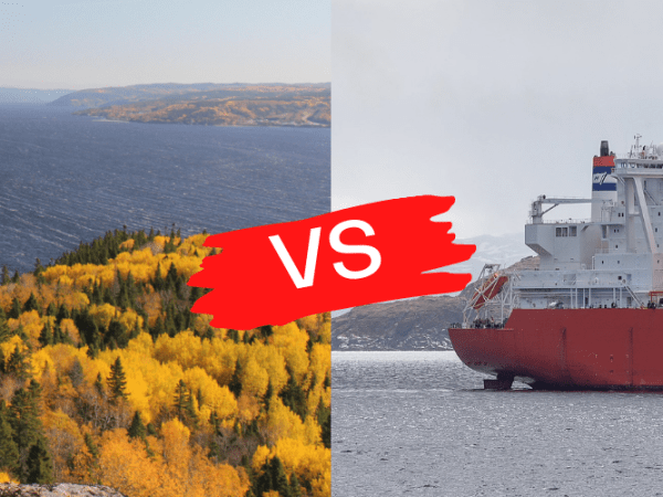 3 actions pour mettre la pression au&nbsp;gouvernement