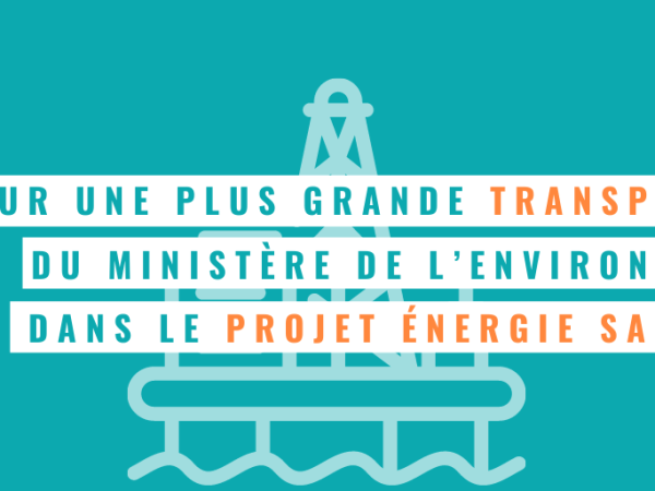 Des organismes environnementaux exigent une plus grande transparence de la part du ministre de l’Environnement dans le projet Énergie&nbsp;Saguenay